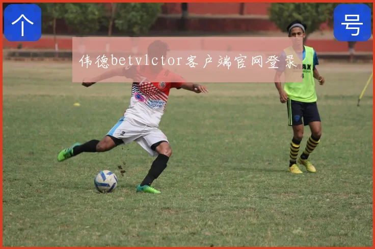 伟德betvlctor客户端官网登录